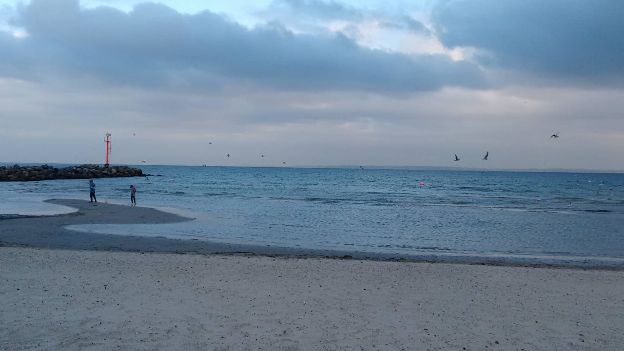 Ein Traumstrand nahe des Hotels Damp Ostsee Resort & Ferienpark