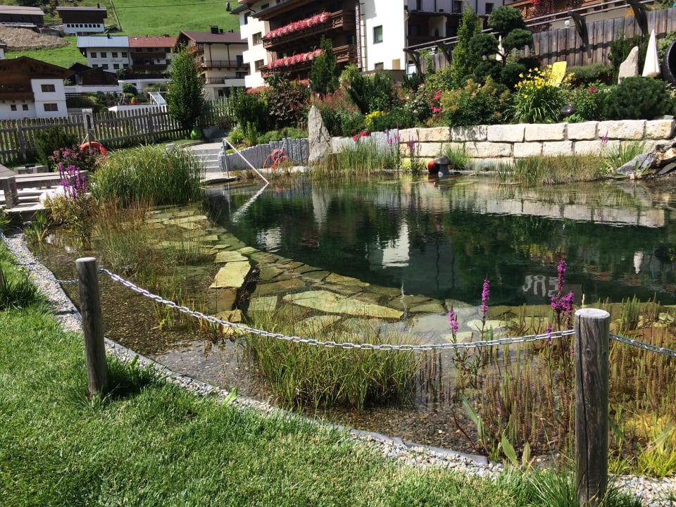 Naturbadeteich Alpengasthof Grüner