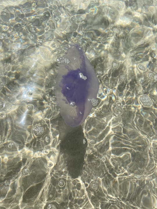 Strand Hotel Sheraton Soma Bay Resort