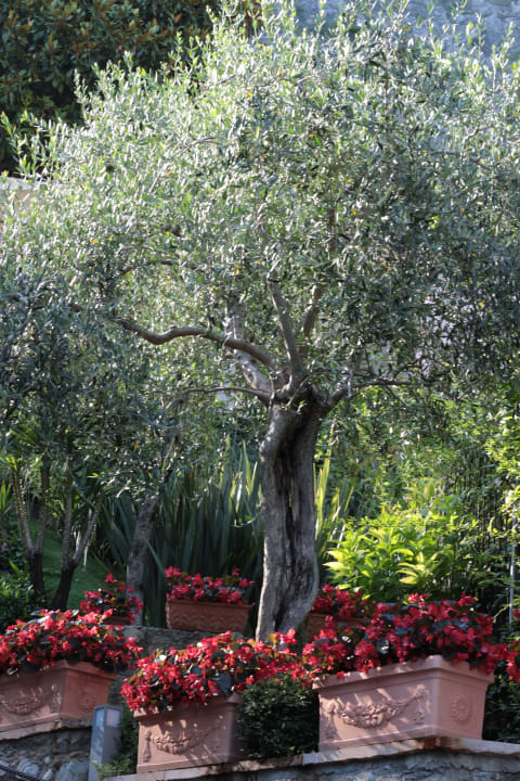 Gartenanlage Relax Hotel Villa La Gardenia & Oleandra