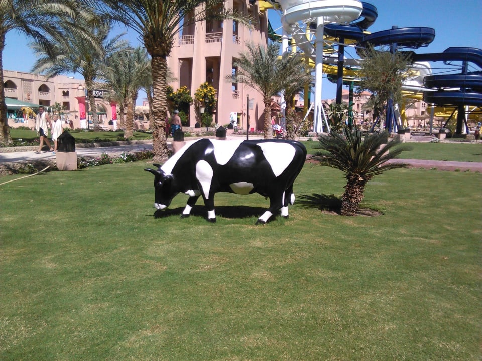 Вид в нутри отеля Pickalbatros Aqua Park Resort - Hurghada