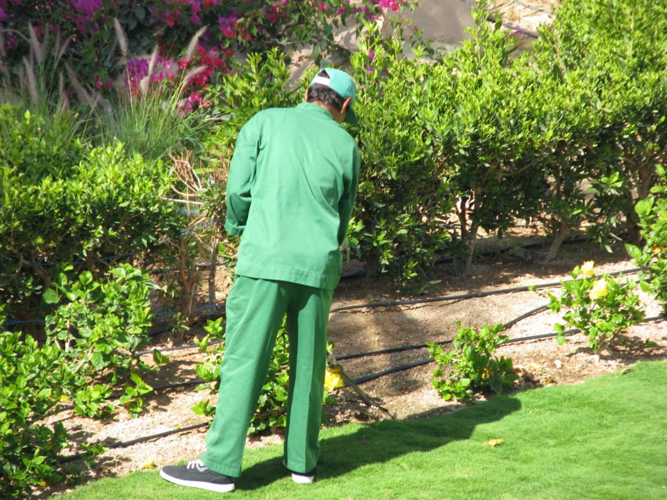 Hotel Stella Makadi Gardens Stella Garden Resort & Spa, Makadi Bay