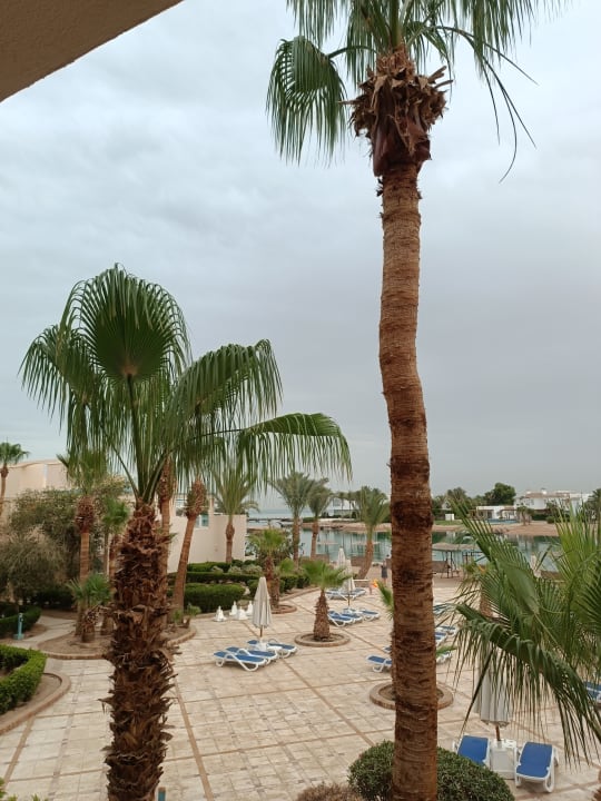 Pool Mövenpick Resort & Spa El Gouna