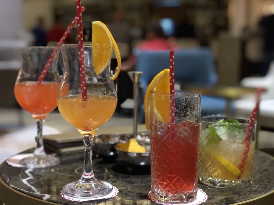 Gastro Acanthus Cennet Barut Collection