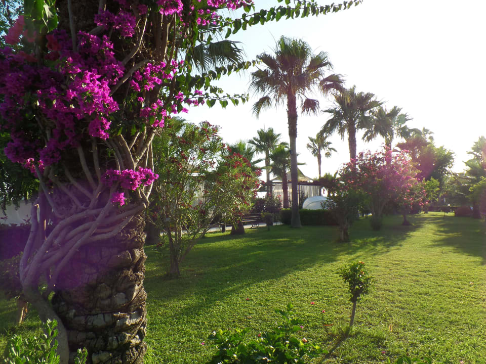 Gartenanlage Saphir Resort & Spa