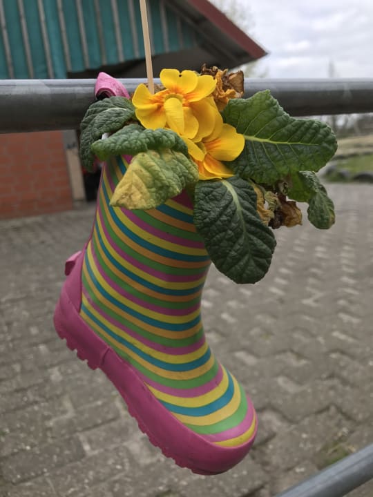 Sonstiges Landhuus Laurenz