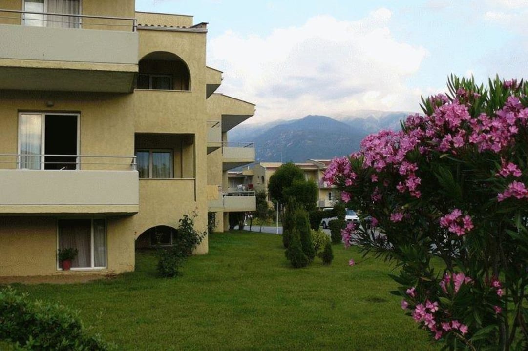 Widok z pokoju alltoura Club Hotel Poseidon Palace