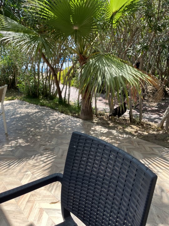 Gastro Seaden Sea World Resort & Spa