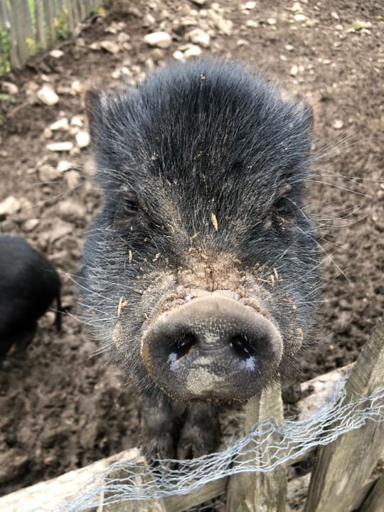 Gartenanlage Naturhotel Forsthofgut