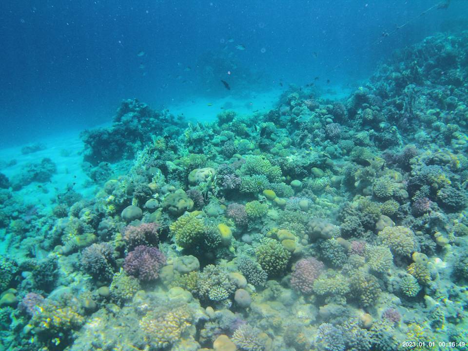 Strand Grand Waterworld Makadi & Family Star Makadi