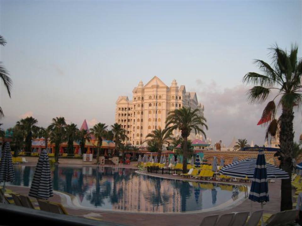 Basen kamely word Kamelya Aishen Club