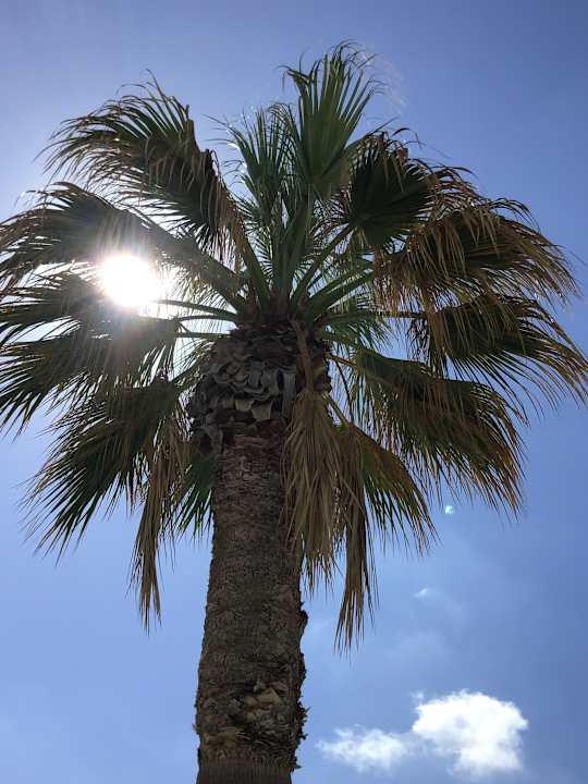 Pool Arina Beach Resort