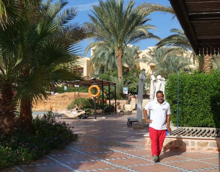 Pool Steigenberger Coraya Beach - Adults only