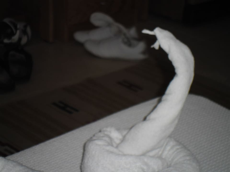 Kobra Menaville Safaga