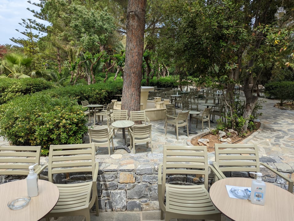 Lobby Apollonia Beach Resort & Spa