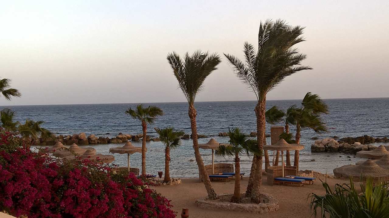 Strand Pickalbatros Citadel Resort