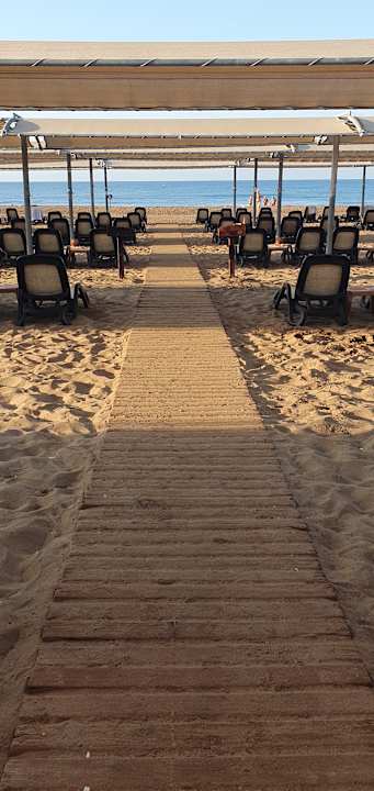 Außenansicht Royal Atlantis Beach Hotel