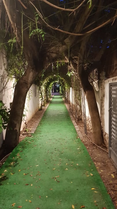 Garten azuLine Hotel Bergantin