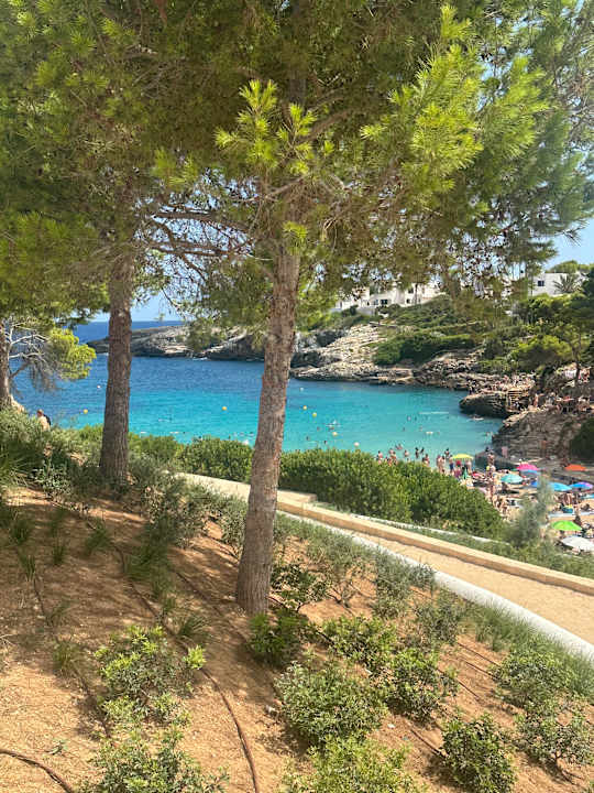 Ausblick Inturotel Esmeralda Park