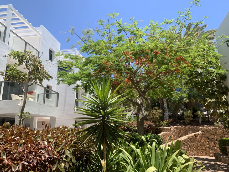 Gartenanlage R2 Bahía Playa Design Hotel & Spa - Adults Only