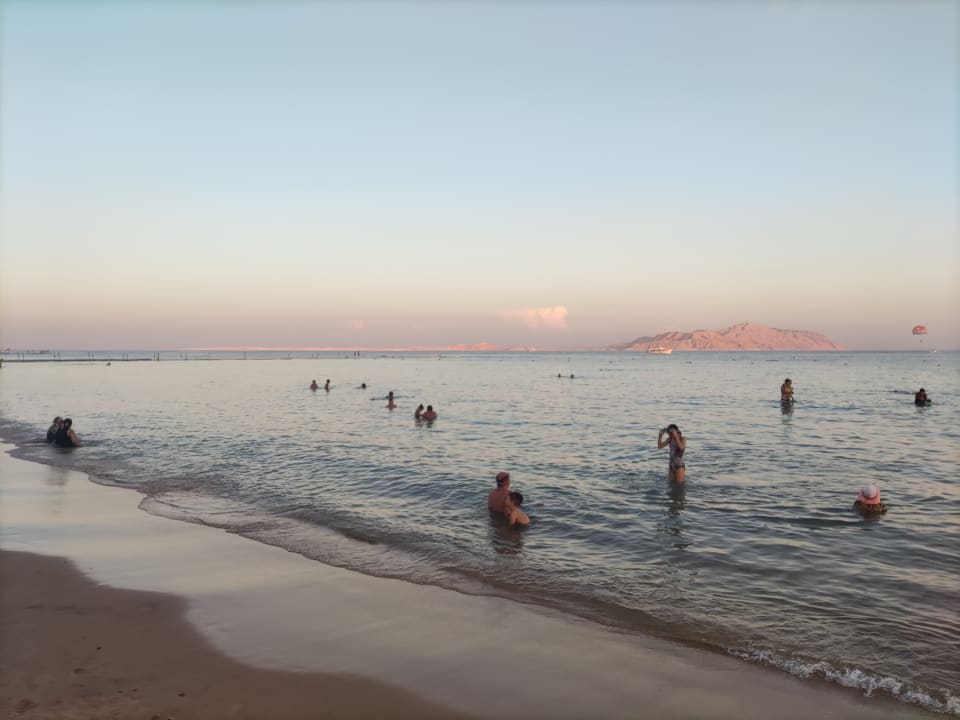 Strand Pickalbatros Palace Resort