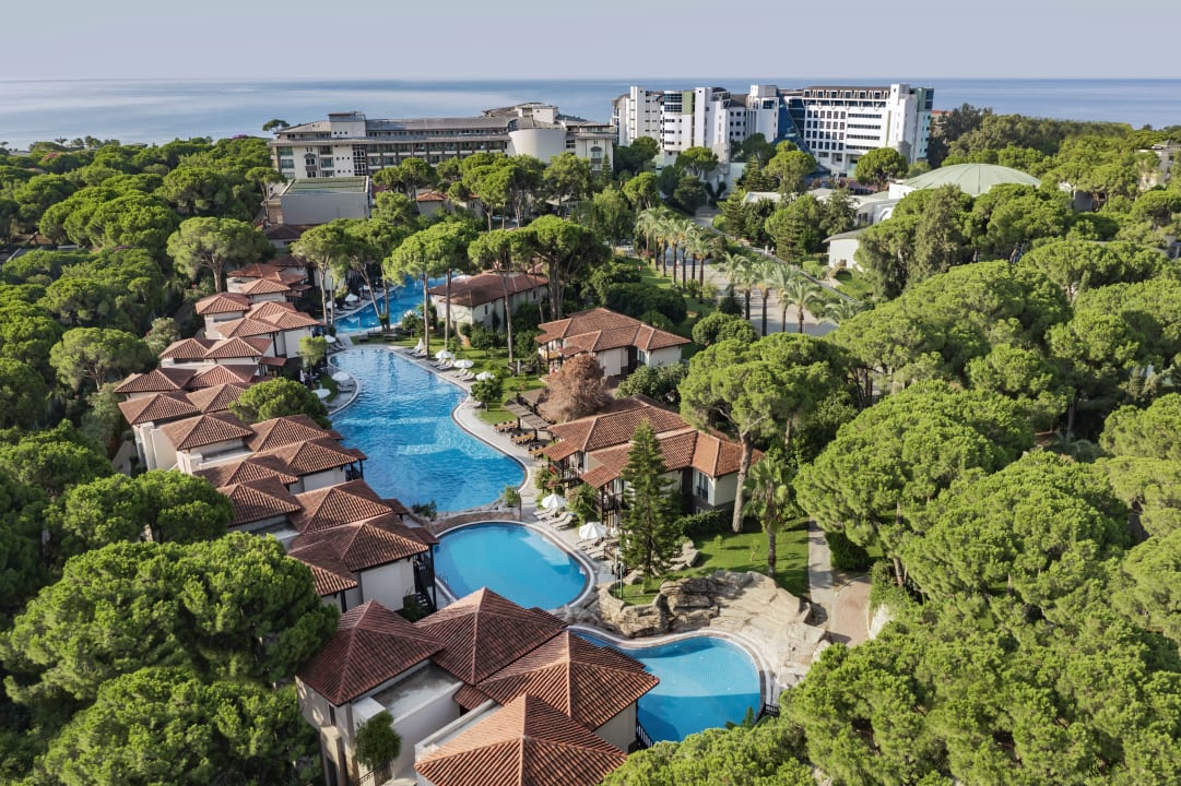 Außenansicht Papillon Ayscha