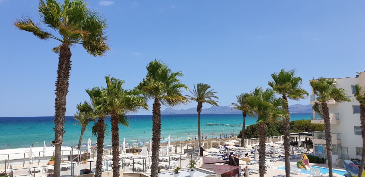 Zimmer Grupotel Alcudia Pins