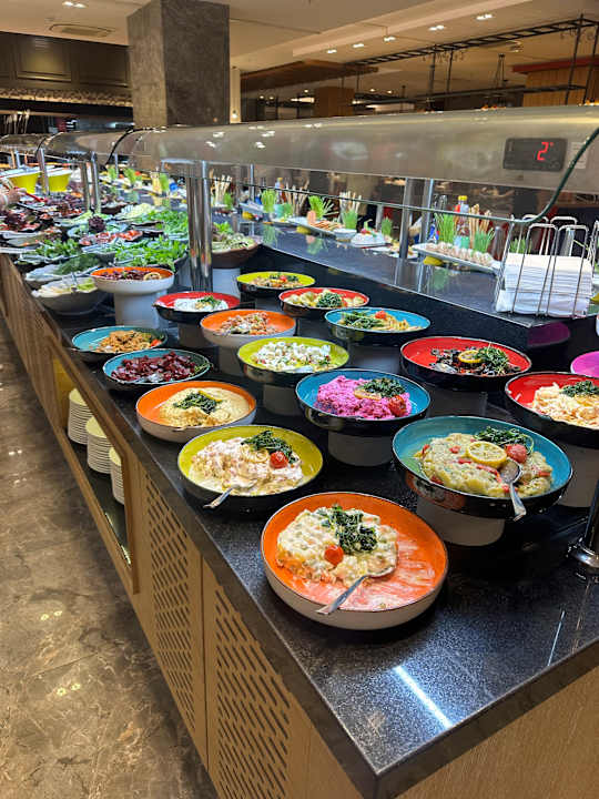 Gastro Seashell Vega