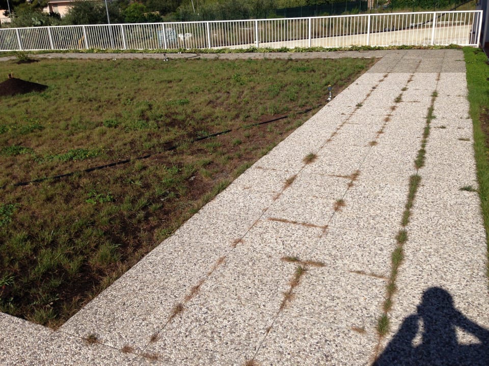 Gepflegt? Die "Wiese" war zugleich Hundeklo! Ai Pozzi Village Hotel & Resort