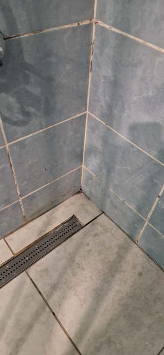 Zimmer Holiday Park Resort