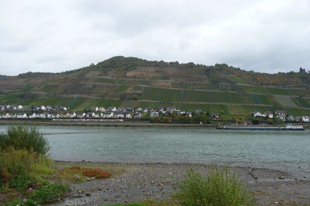 Blick von der anderen Rheinseite aus Ferienwohnung Elisabeth & Albert Kunz