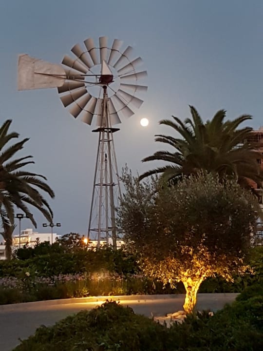 Sonstiges Hotel Nissi Beach Resort