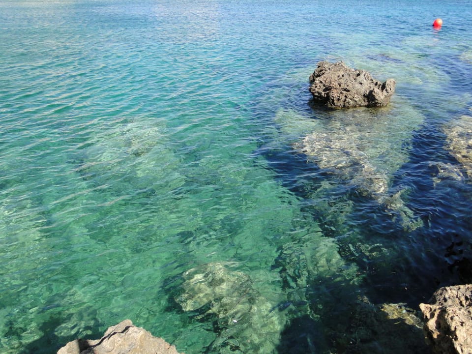 Crystal Springs Beach Hotel Crystal Springs Beach Hotel