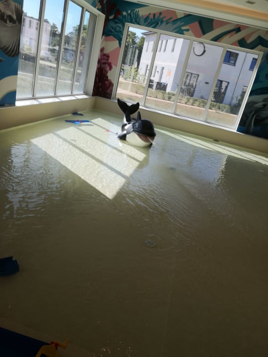 Pool TUI SUNEO Kinderresort Usedom