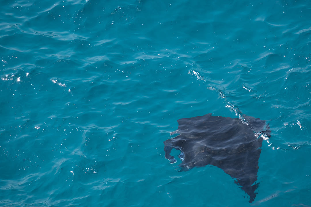 Sonstiges The Point Resort Lembongan