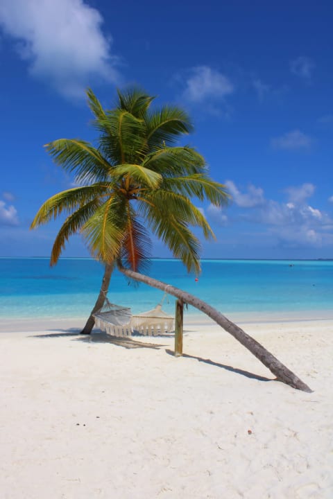 Strand Sun Siyam Vilu Reef