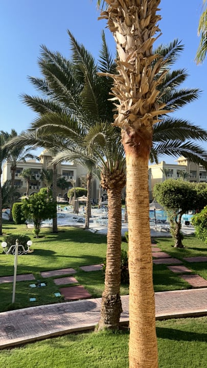 Ausblick Serenity Alpha Beach