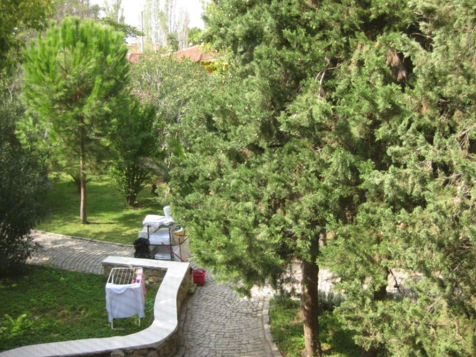 Blick vom Fenster Club Orient Beach Resort