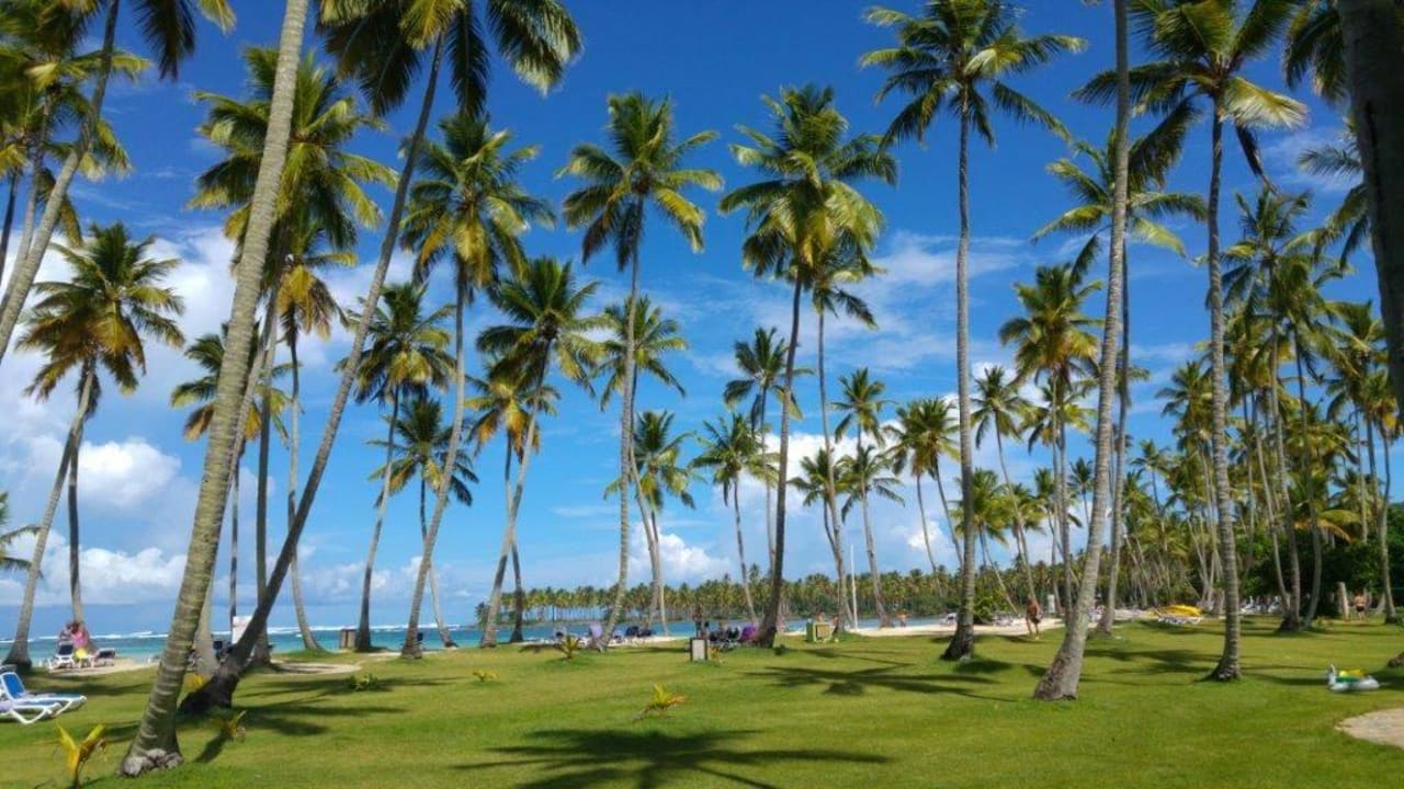 Liegewiese Wyndham Alltra Samana