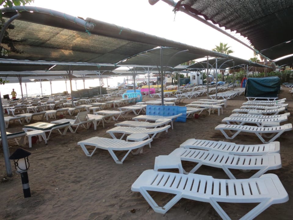 Strand Trendy Palm Beach (Adults Only, 16+)