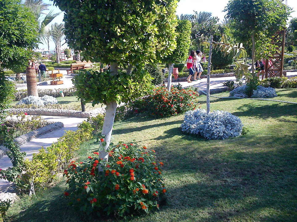 Оазис Riviera Aqua Park Resort