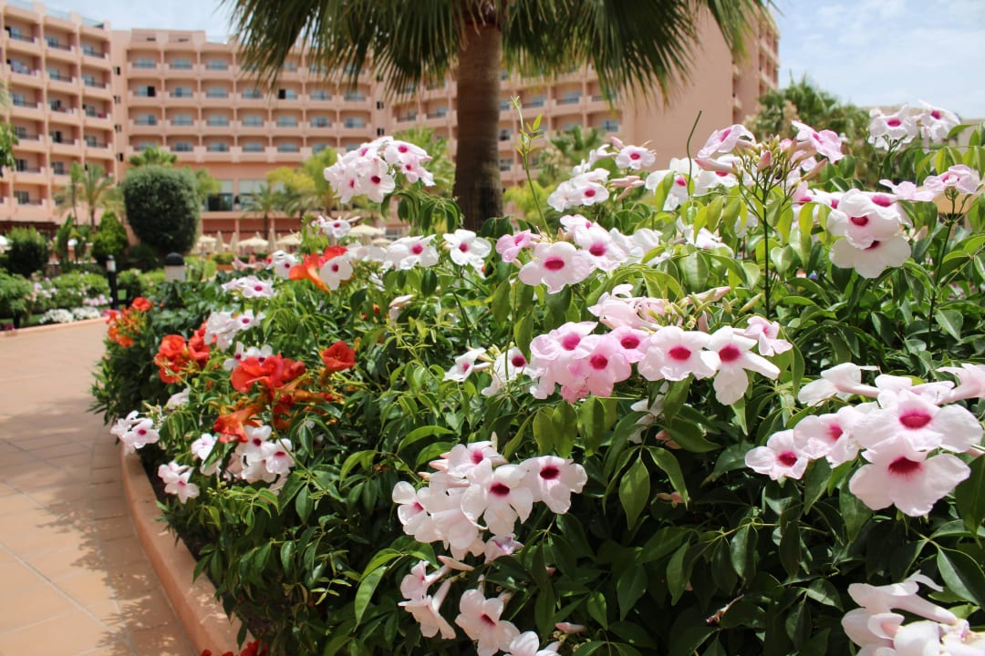 ClubHotel Riu Guarana 3HB Guaraná - All Inclusive