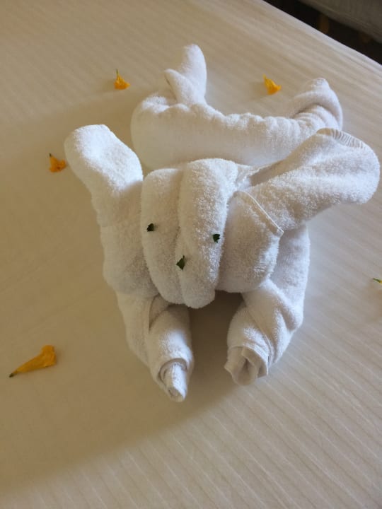 Zimmer Malikia Resort Abu Dabbab