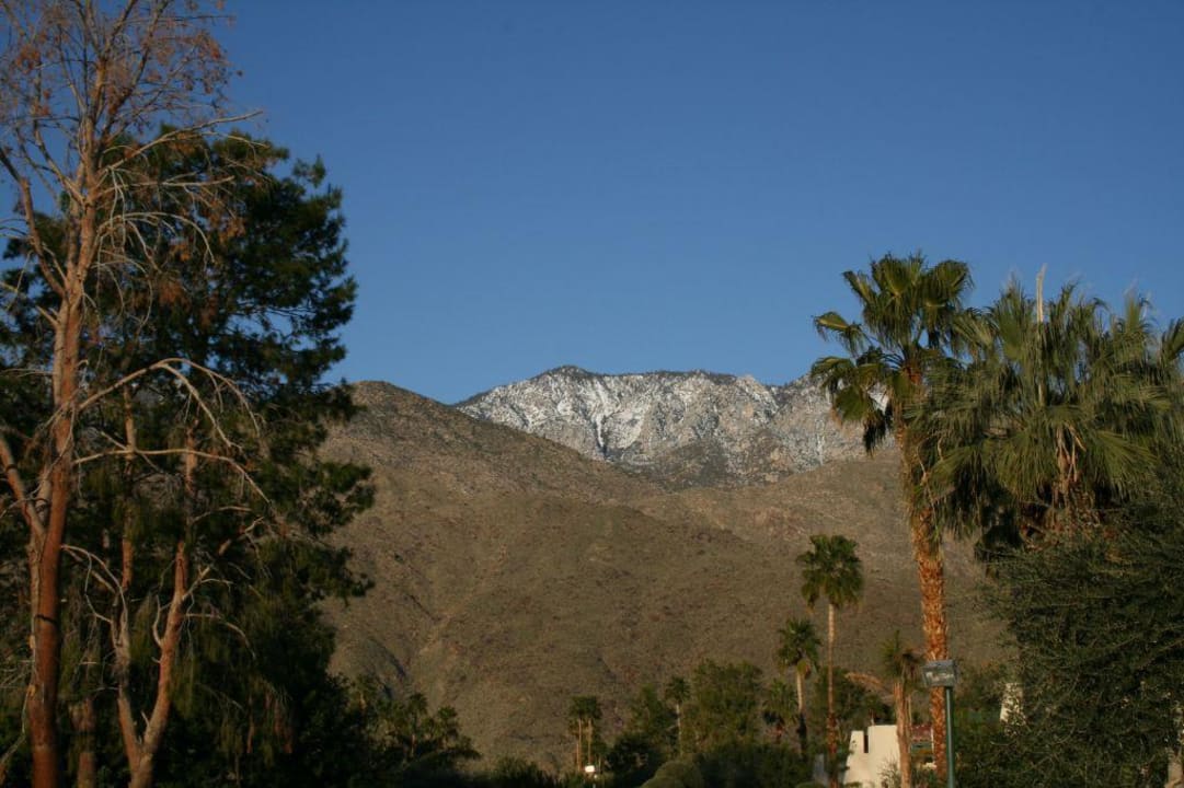 Landschaft hinter dem Hotel Travelodge by Wyndham Palm Springs