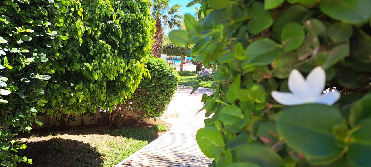 Gartenanlage Hotel Djerba Resort
