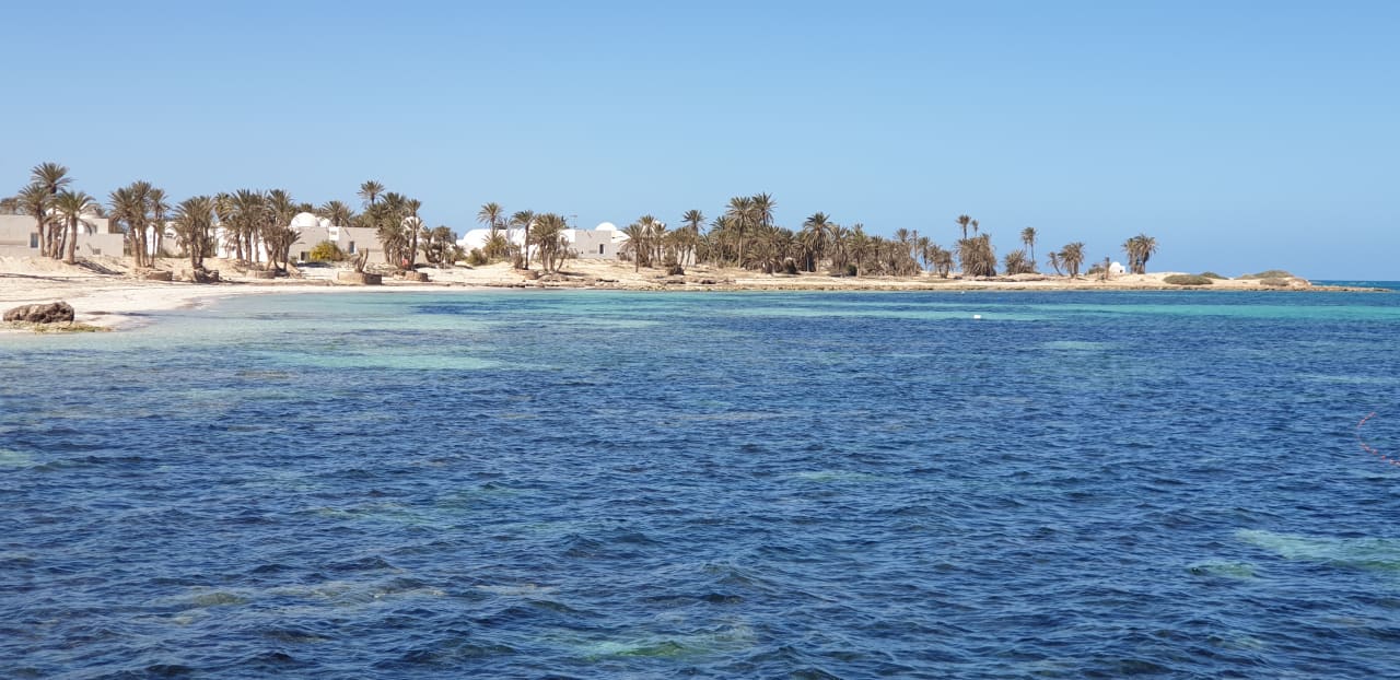 Strand Hotel El Mouradi Djerba Menzel