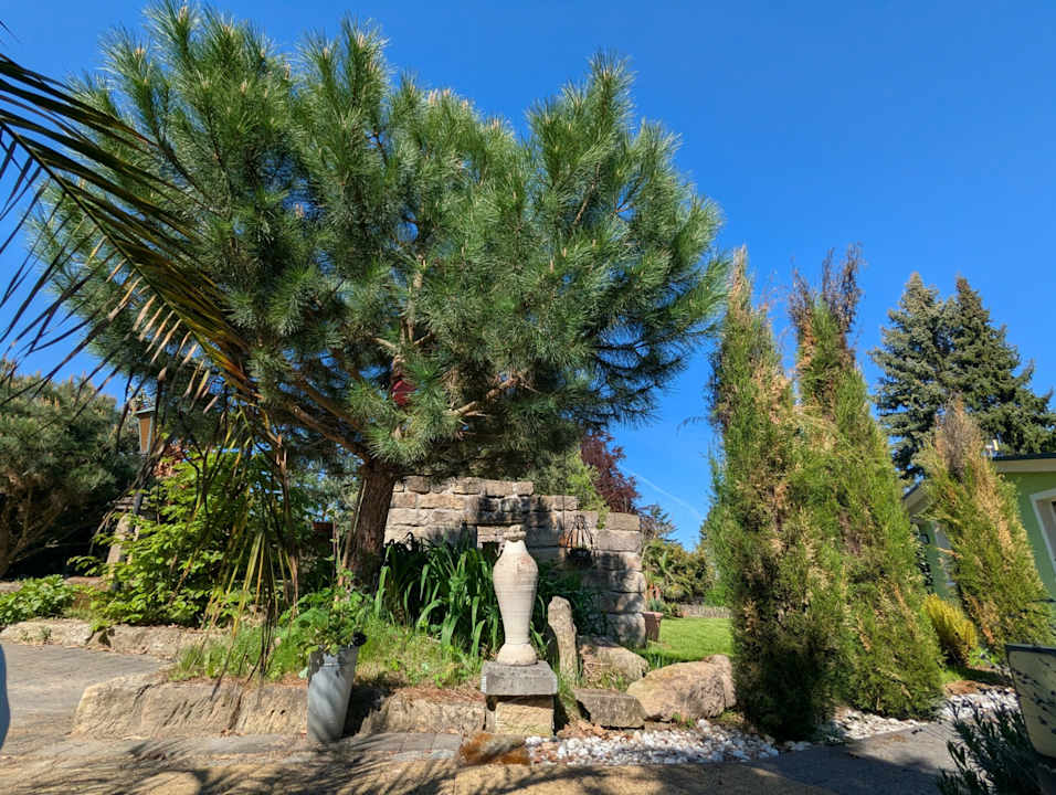 Außenansicht Ferienhaus Königsnase