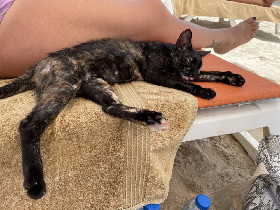 Sonstiges Rixos Bab Al Bahr