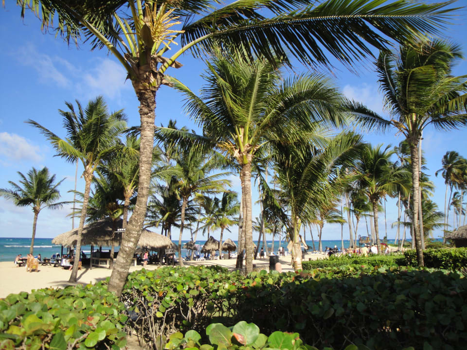 Sommer Sonne Sonnenschein Wyndham Alltra Punta Cana