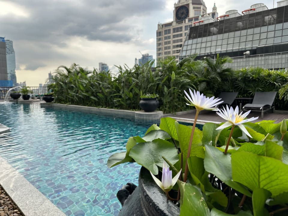 Pool Hotel Banyan Tree Bangkok
